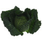 CHOU VERT 8PCS